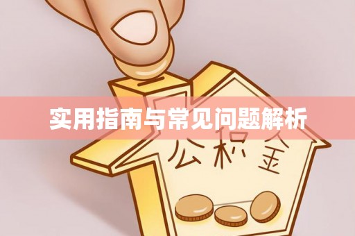 宾阳实用指南与常见问题解析