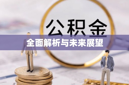 宾阳全面解析与未来展望