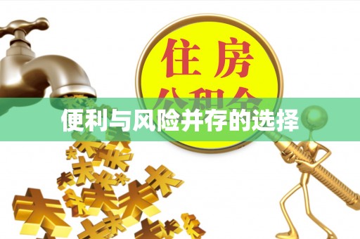 宾阳便利与风险并存的选择